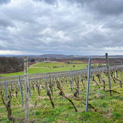 23-03-12 14-34-06 4792